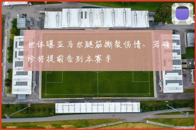 世体曝亚马尔腿筋撕裂伤情，若确诊将提前告别本赛季