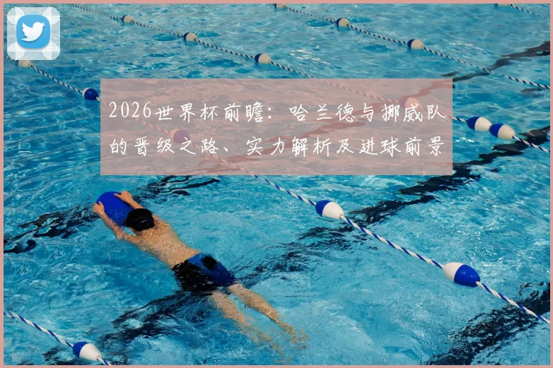 2026世界杯前瞻：哈兰德与挪威队的晋级之路、实力解析及进球前景预测