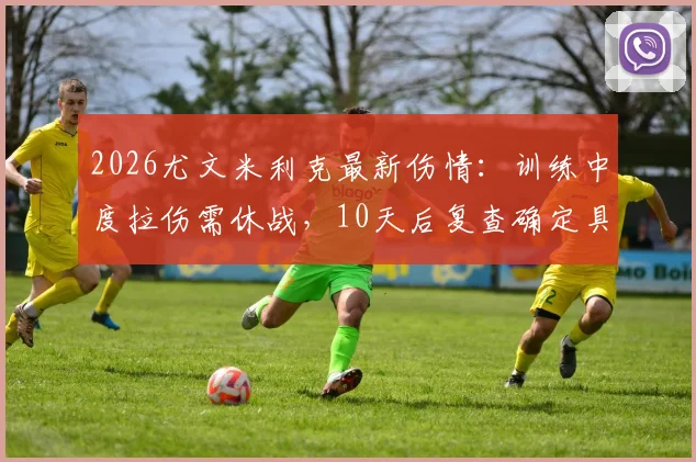 2026尤文米利克最新伤情：训练中度拉伤需休战，10天后复查确定具体归期